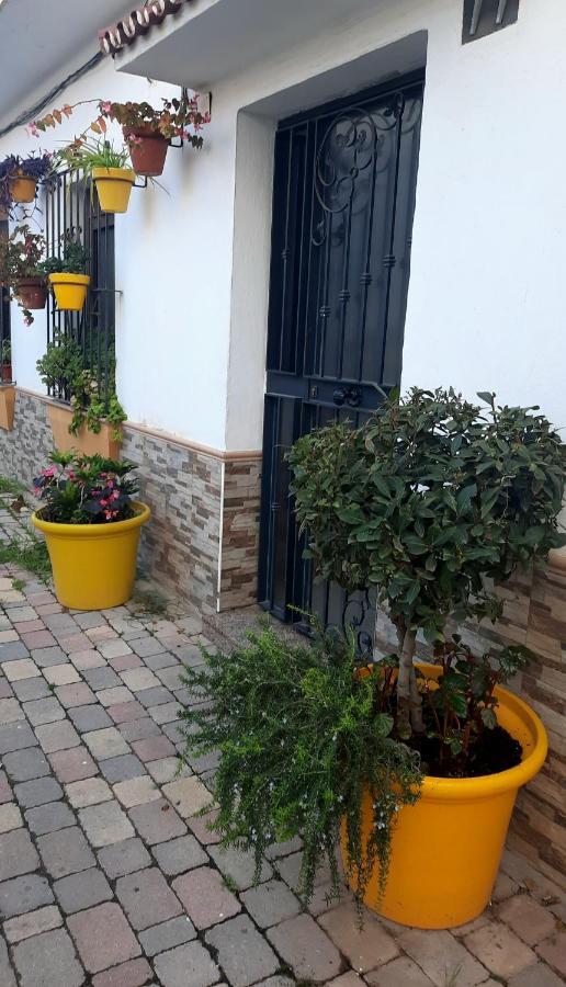 Apartamento En Casco Historico Естепона Екстериор снимка